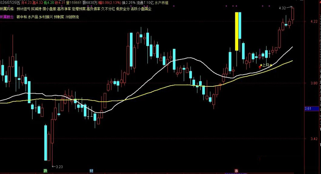 通达信【回调低吸战法】高成功率低吸战法,强势股回调跟踪,副图+选股_展示图_02 ... ... ...
