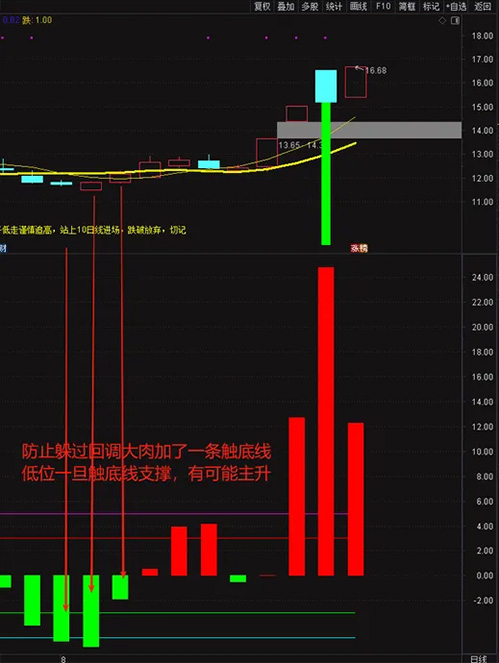 通达信〖神秘5日线〗副图指标,让你知道怎么跌怎么涨怎么躲风险！源码_展示图_08 ...