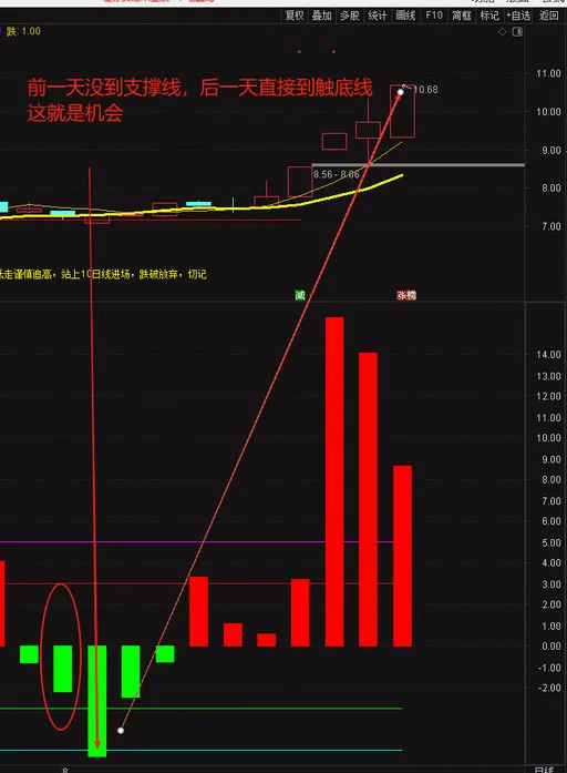 通达信〖神秘5日线〗副图指标,让你知道怎么跌怎么涨怎么躲风险！源码_展示图_09 ...