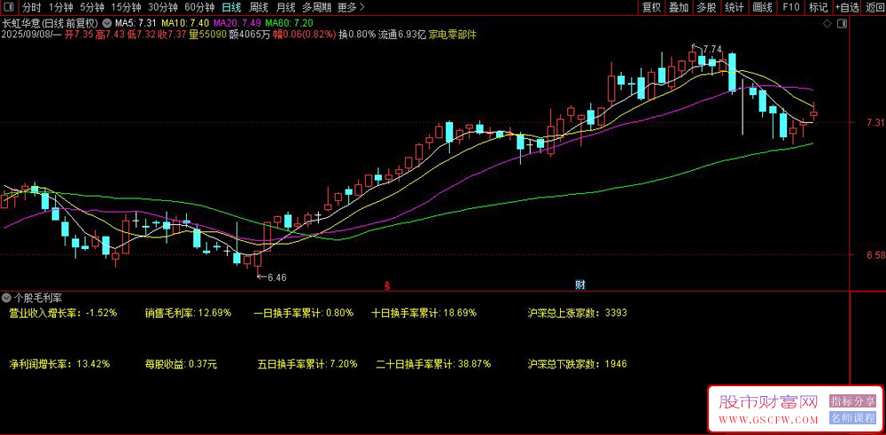 通达信〖个股毛利率、营业增长、换手率分析〗实时展示股票关键财务和市场数据_展示图_02