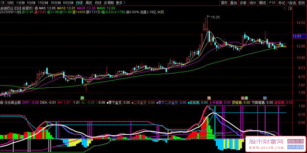 通达信〖伏击黄金眼MACD〗副图指标,动态轨道形态过滤多级验证三重机制提升价值_展示图_05