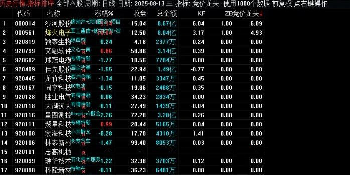通达信【竞价龙头,】副图排序,专注于昨日涨停股的排序,开盘前快速定位可能的强势股_展示图_01 ... ...