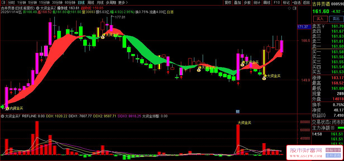通达信〖大资金买点〗套装指标,大资金动向监测与交易信号系统_展示图_01