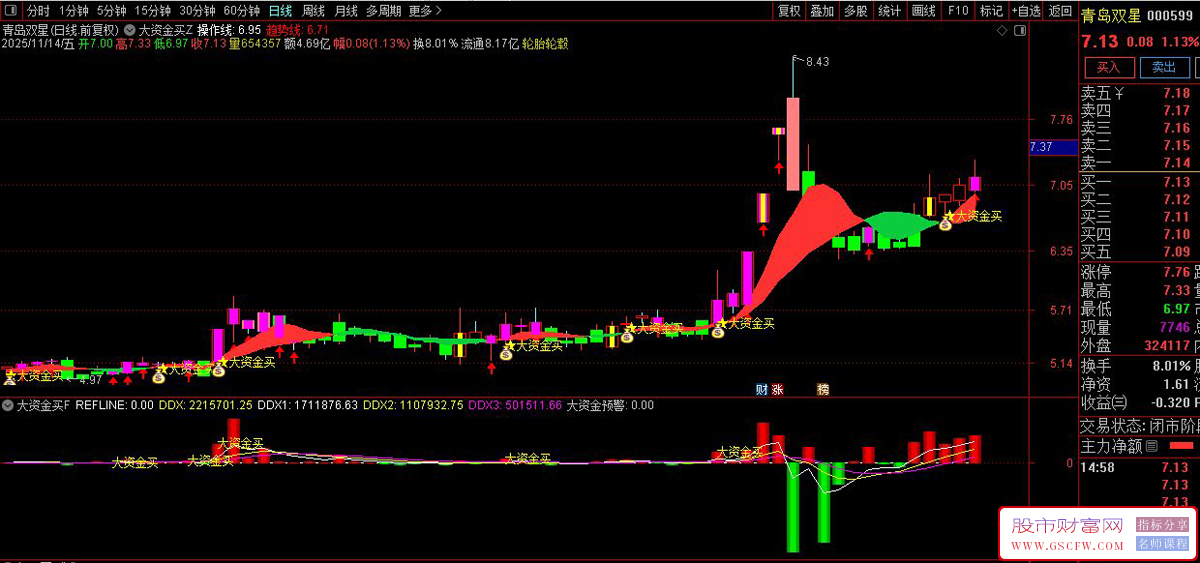 通达信〖大资金买点〗套装指标,大资金动向监测与交易信号系统_展示图_03
