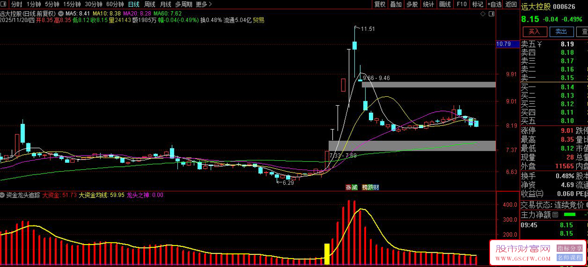 通达信〖资金龙头追踪〗捕捉主力资金动向与潜在龙头股的复合分析指标,副图+选股_展示图_03