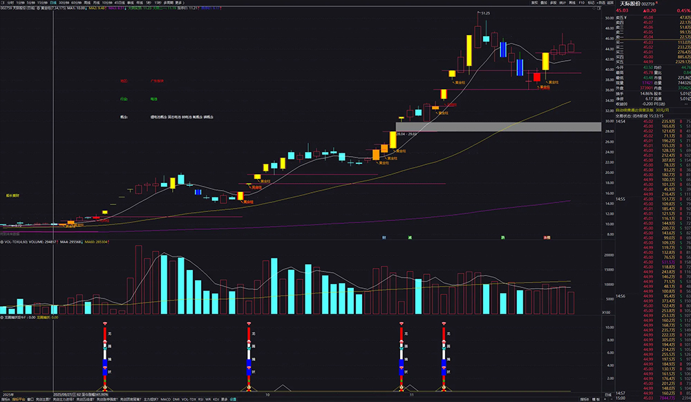 自用【黄金柱战法+龙腾擒妖】套装指标,趋势打板,多因子共振的强势股捕捉_展示图_03 ... ...