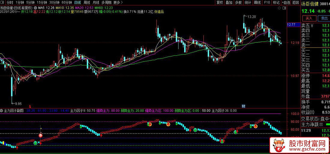 通达信〖主力因子〗副图指标,精准捕捉主力动向的利器_展示图_03