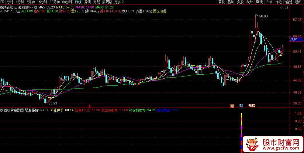 通达信〖首板黄金指标〗次日60%涨停率,在首板涨停前1天提前锁定黄金买点_展示图_08