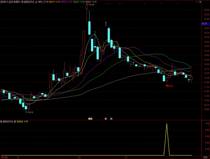 通达信【趋势回马点】主副图+选股指标,尾盘2:30精准预警回调“回马点,手机电脑可用_展示图_05 ...