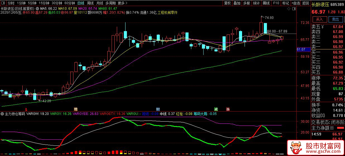 通达信〖主力持仓筹码〗副图指标,精准捕捉主力动向的利器_展示图_05