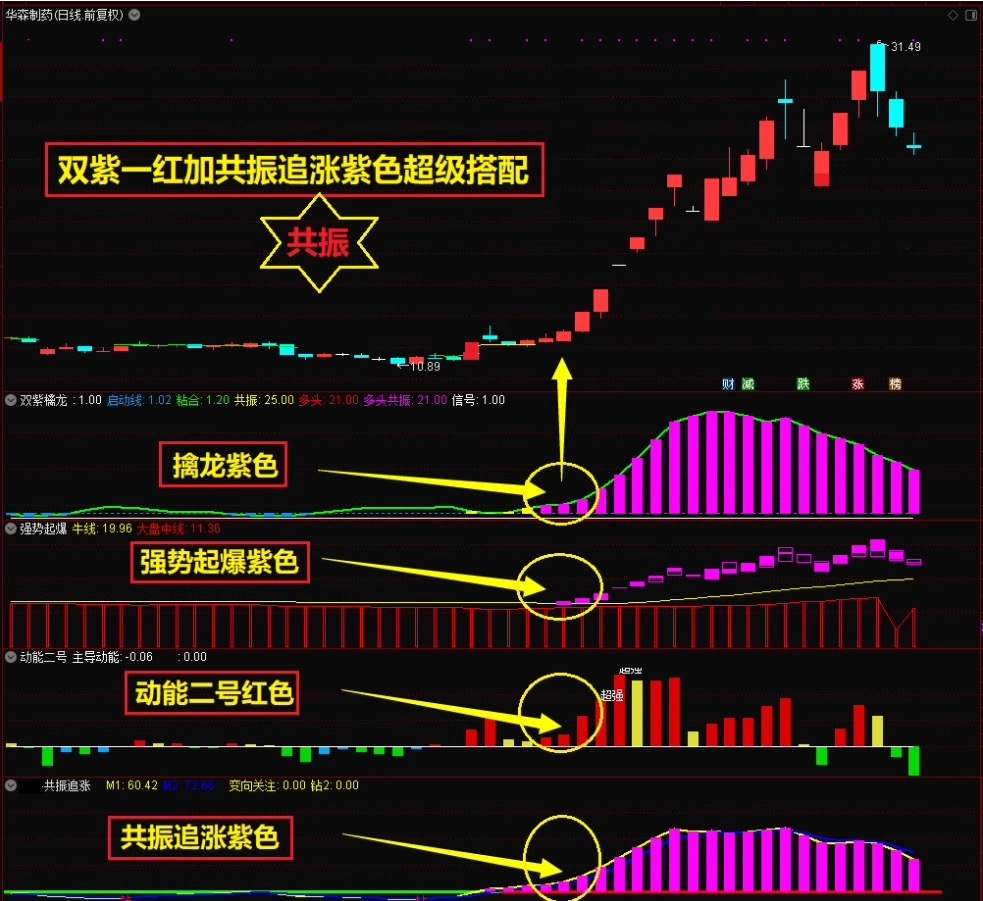 2025新版【双紫擒龙】紫紫红黄庄家控盘分时主力吸筹动能二号起涨高抛低吸_展示图_06 ... ... ... ...