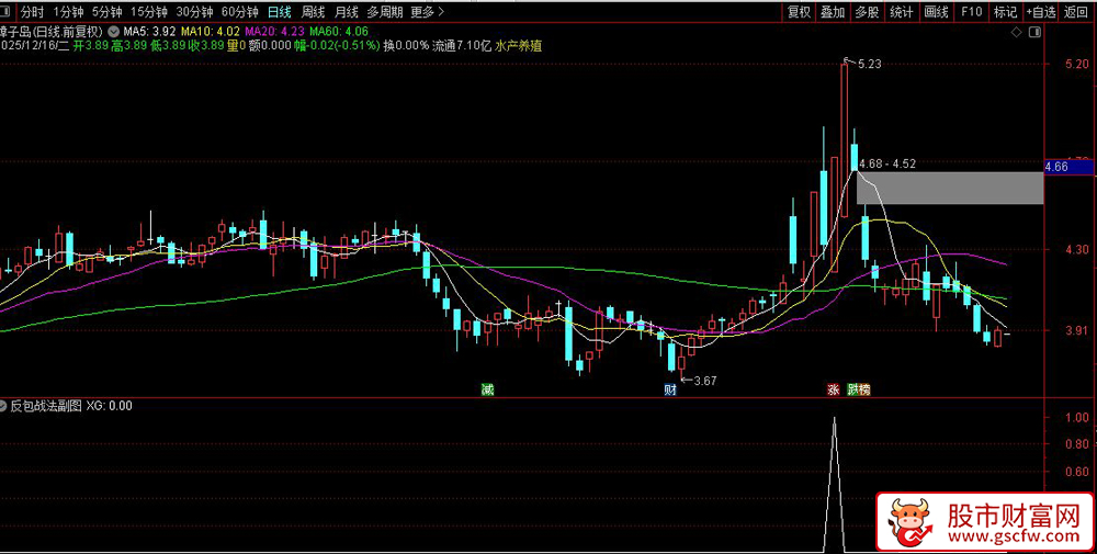 通达信〖反包战法〗捕捉主板断板个股强势反包弱转强机会,副图+选股_展示图_04