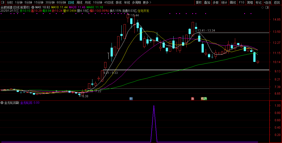 通达信【2026金龙轮回】上涨后的健康回调至关键支撑位,副图+选股_展示图_03