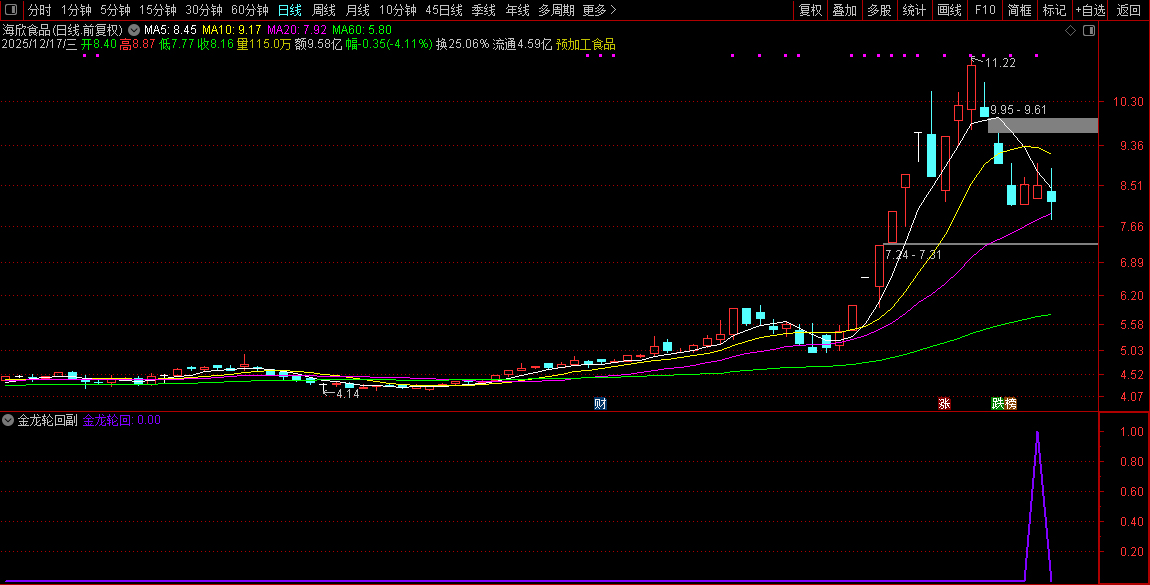通达信【2026金龙轮回】上涨后的健康回调至关键支撑位,副图+选股_展示图_05