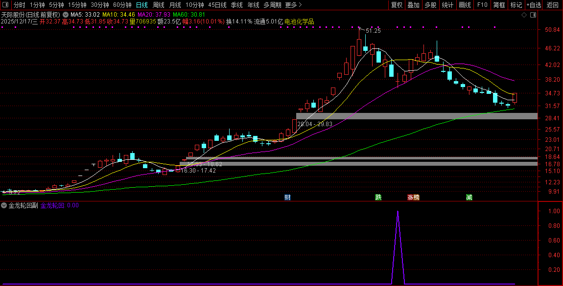 通达信【2026金龙轮回】上涨后的健康回调至关键支撑位,副图+选股_展示图_06