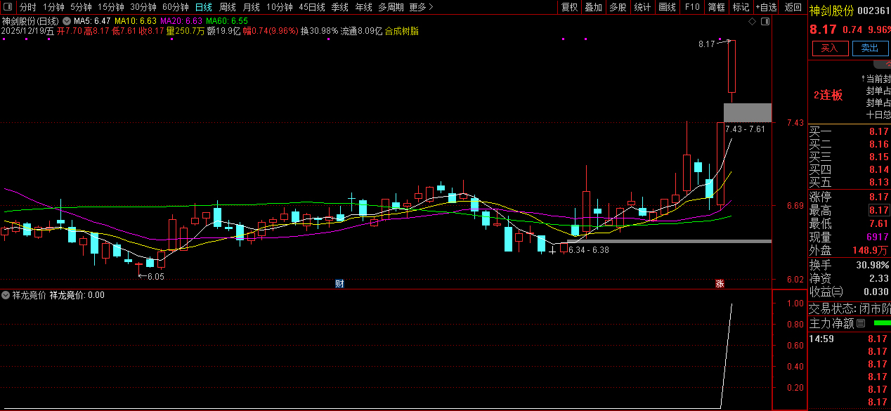 精品竞价【祥龙竞价】专为早盘竞价阶段设计的复合型竞价指标_展示图_02