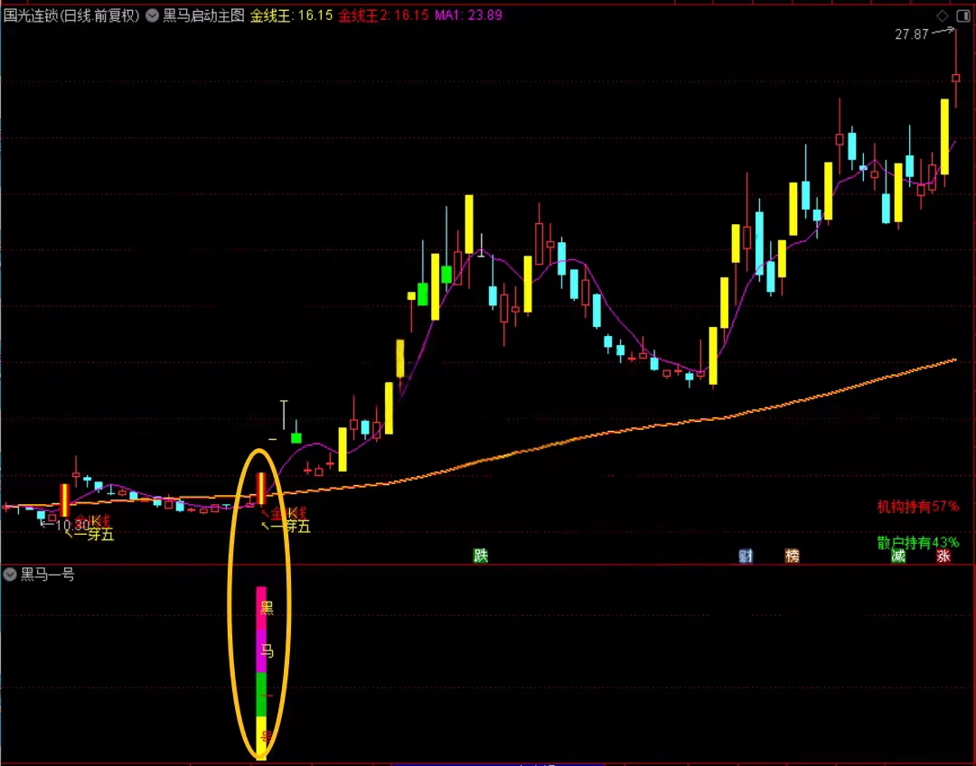 2026【黑马涨停王】预警决策系统-抓板神器、黑马启动、盘中决策、多头趋势启动连续上涨_展示图_04 ... ...  ...