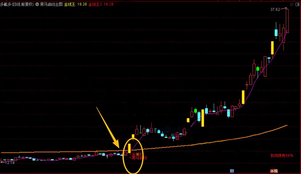 2026【黑马涨停王】预警决策系统-抓板神器，多头趋势启动连续上涨「12金币」