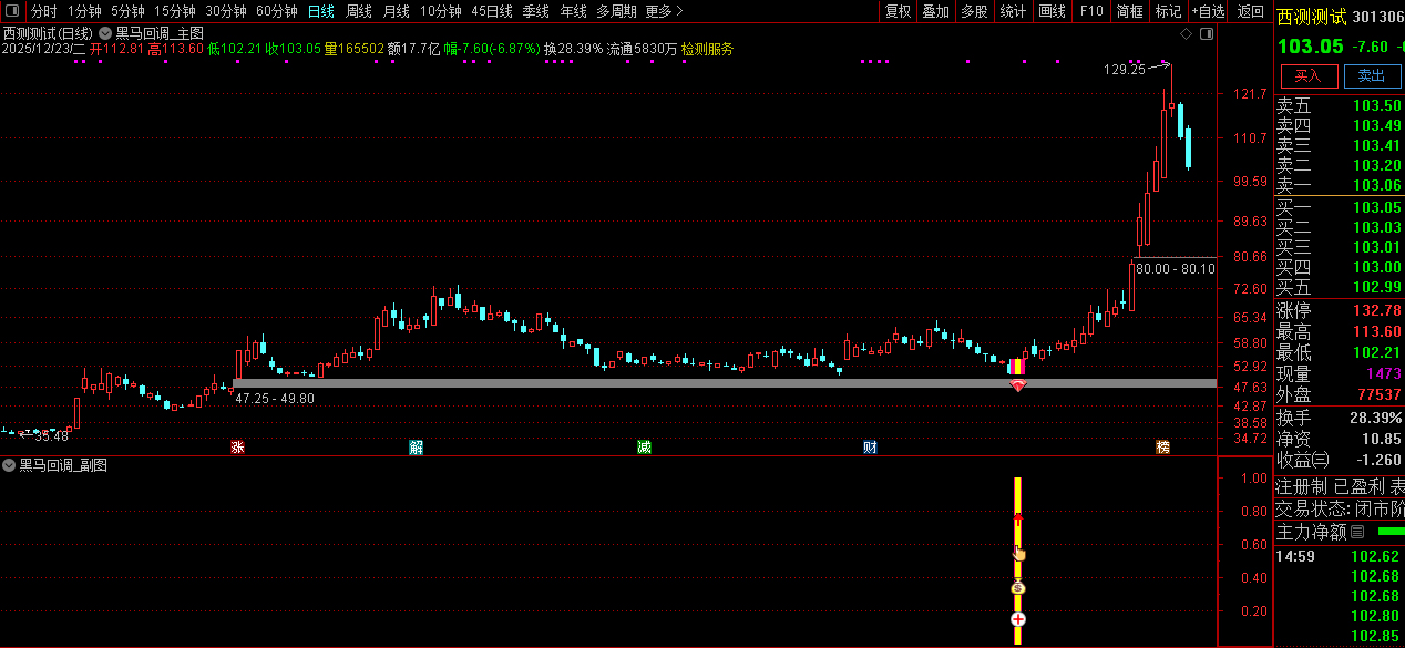 通达信〖黑马回调〗早盘竞价强势股低吸信号捕捉_展示图_03