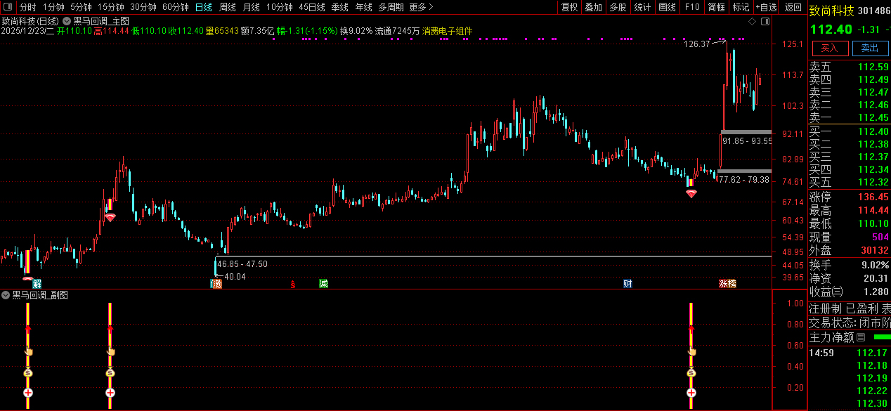 通达信〖黑马回调〗早盘竞价强势股低吸信号捕捉_展示图_07
