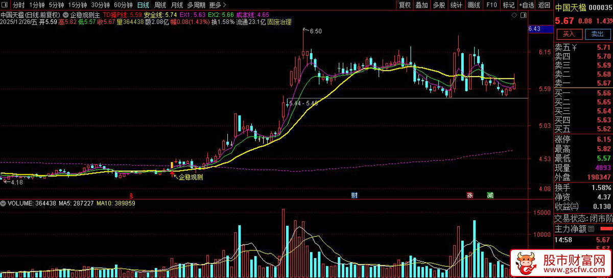 通达信〖企稳观测〗主图+选股_展示图_01