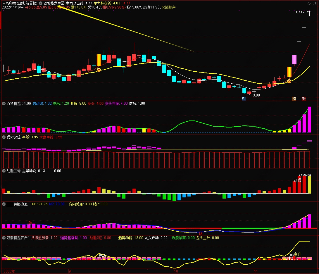 双紫擒龙_展示图_03
