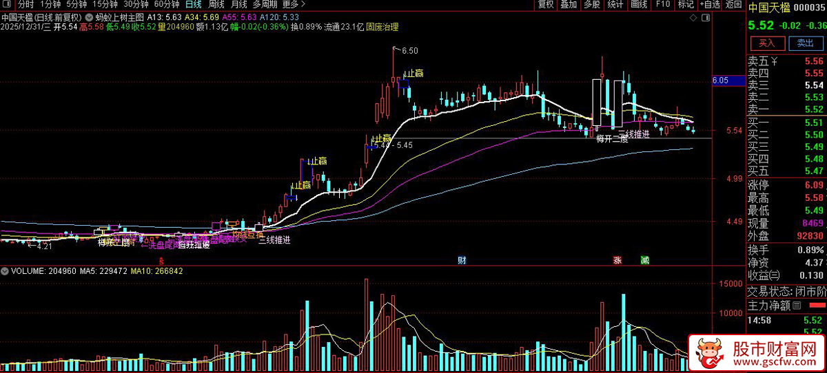 〖蚂蚁上树+洗盘尾声〗主图指标_展示图_06