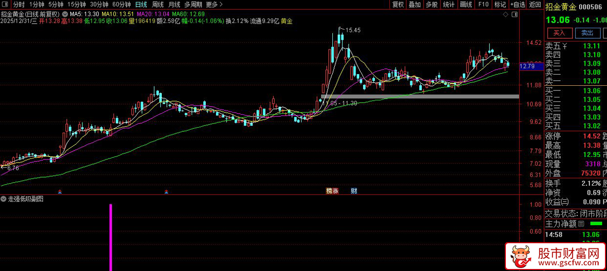 精品【走强低吸】副图+选股指标_展示图_06