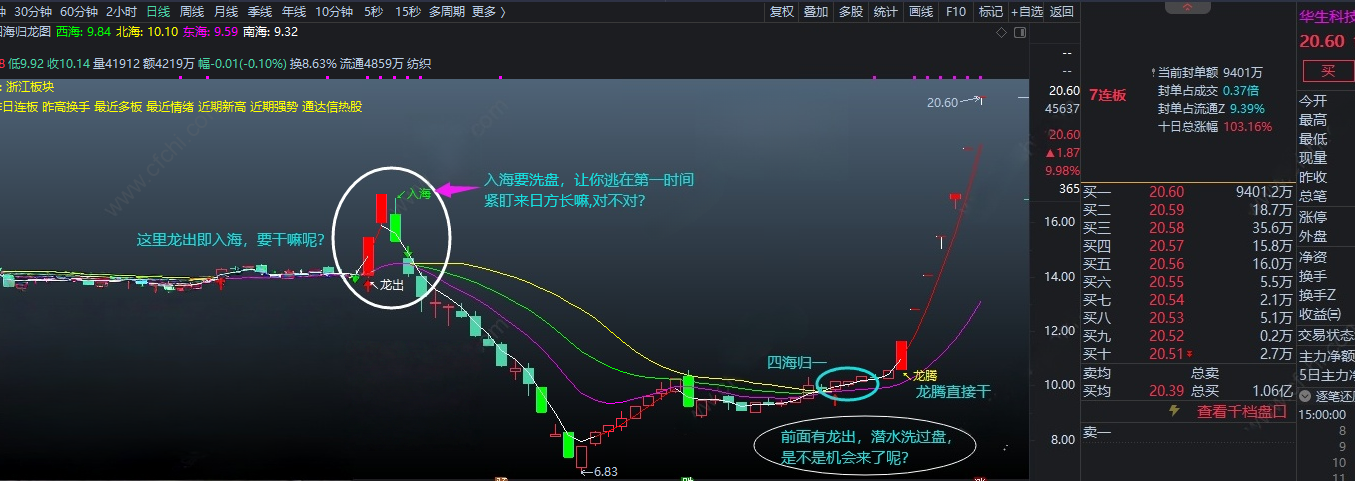 2026【四海归龙图】_展示图_02