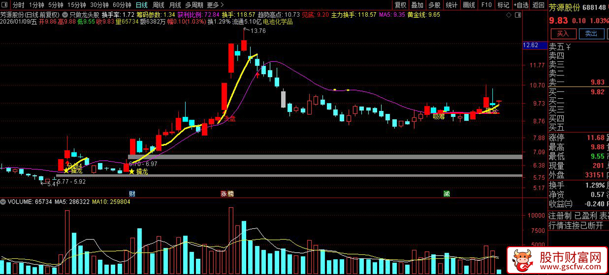 通达信〖只做龙头股〗主图指标_展示图_05