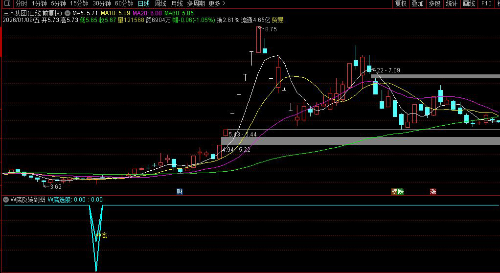 通达信〖W底反转〗副图+选股_展示图_04