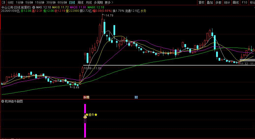 通达信〖乾坤追牛〗副图+选股指标_展示图_03