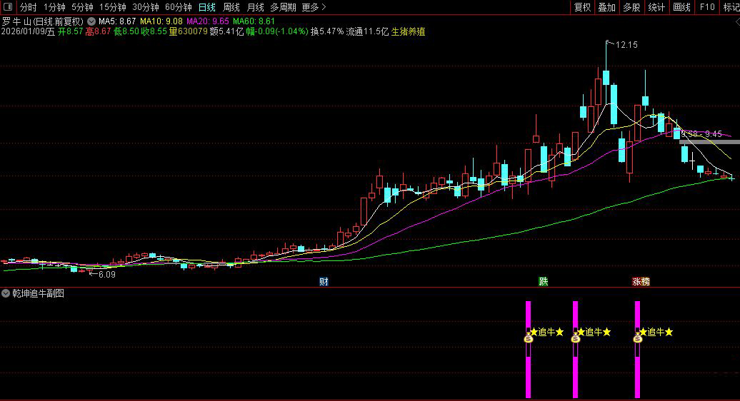 通达信〖乾坤追牛〗副图+选股指标_展示图_07