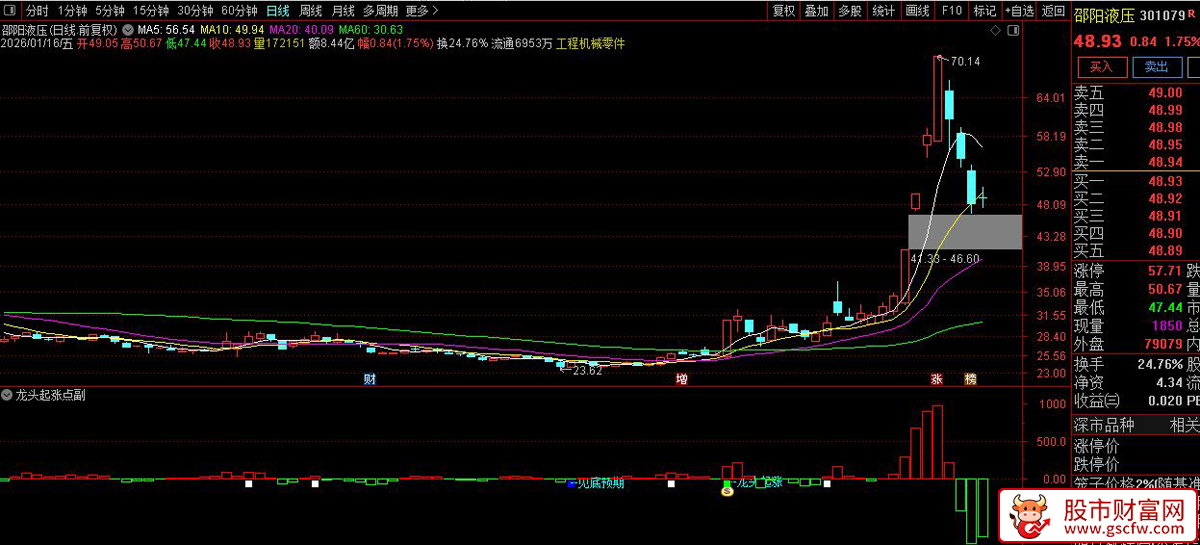 通达信〖龙头起涨点〗副图+选股_展示图_01