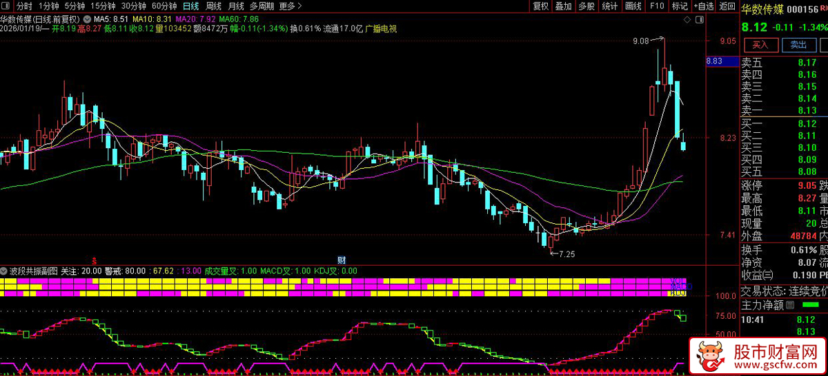 通达信〖波段共振〗副图指标_展示图_02