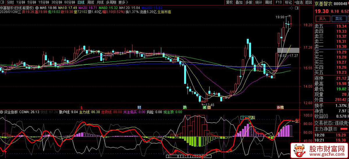 通达信〖资金鱼群〗副图指标_展示图_02