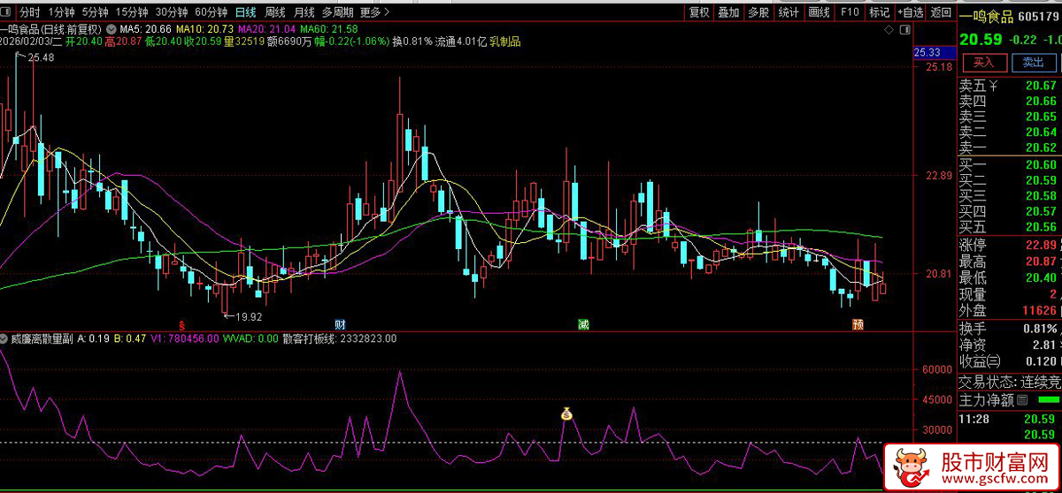 通达信〖威廉离散量〗副图+选股_展示图_02