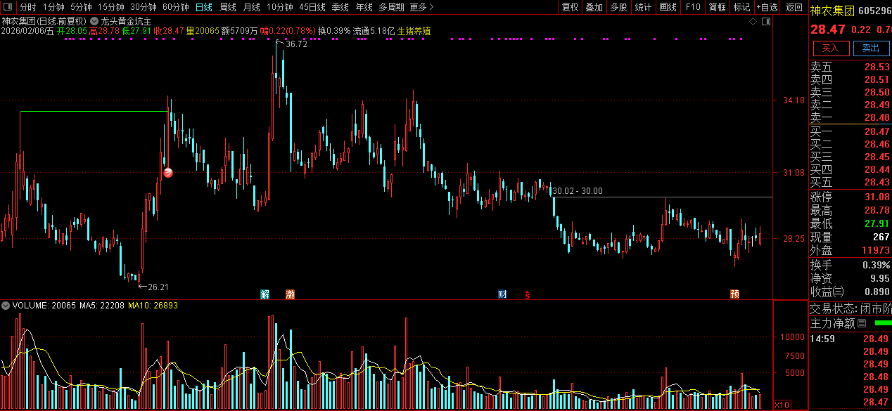 通达信【龙头黄金坑】主图+选股_展示图_11