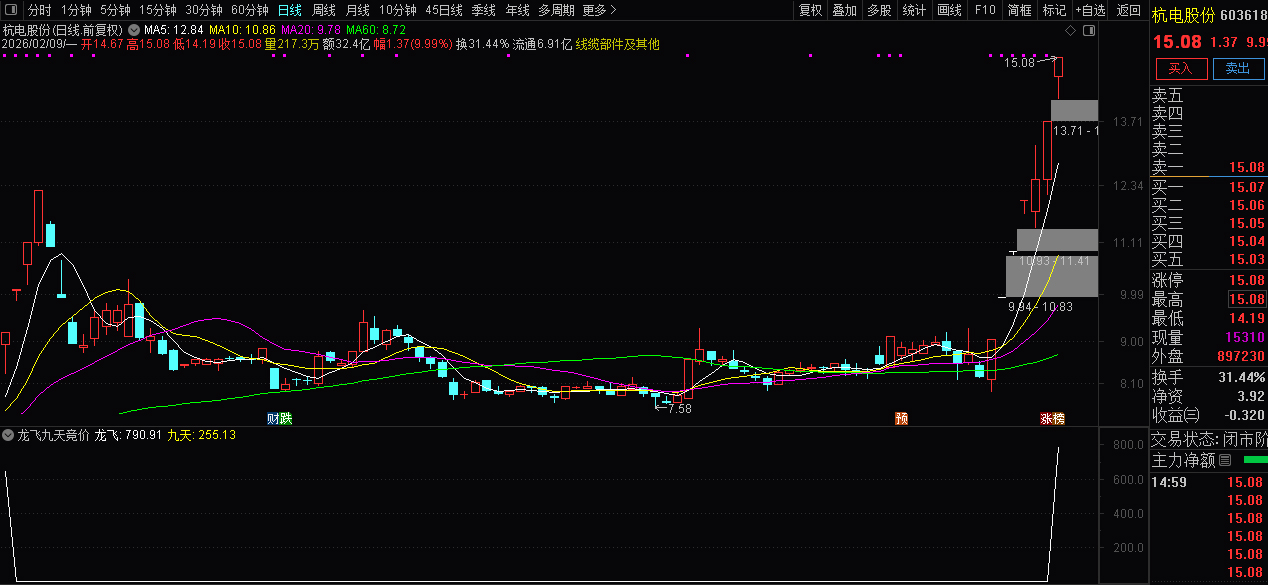 通达信【龙飞九天】】竞价排序指标_展示图_04