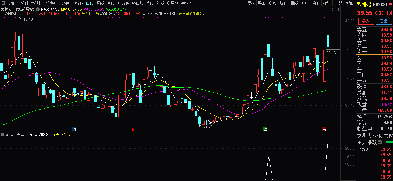 通达信【龙飞九天】】竞价排序指标_展示图_05