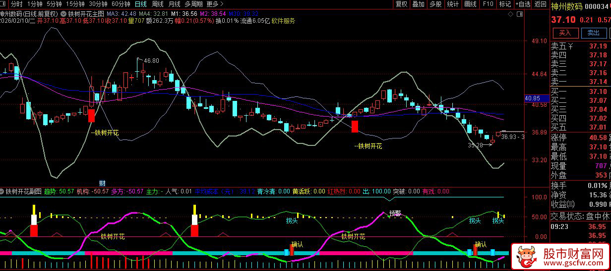 通达信〖铁树开花〗主副图+选股_展示图_03