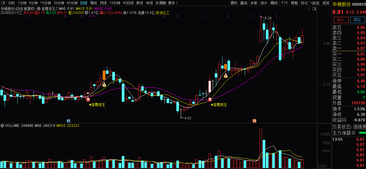 波段开启共振拉升〖至尊波王〗主图+选股_展示图_04