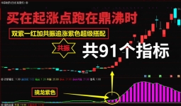 2025【双紫擒龙】最新版91个指标，紫紫红黄庄家控盘分时主力吸筹动能二号「28金币」